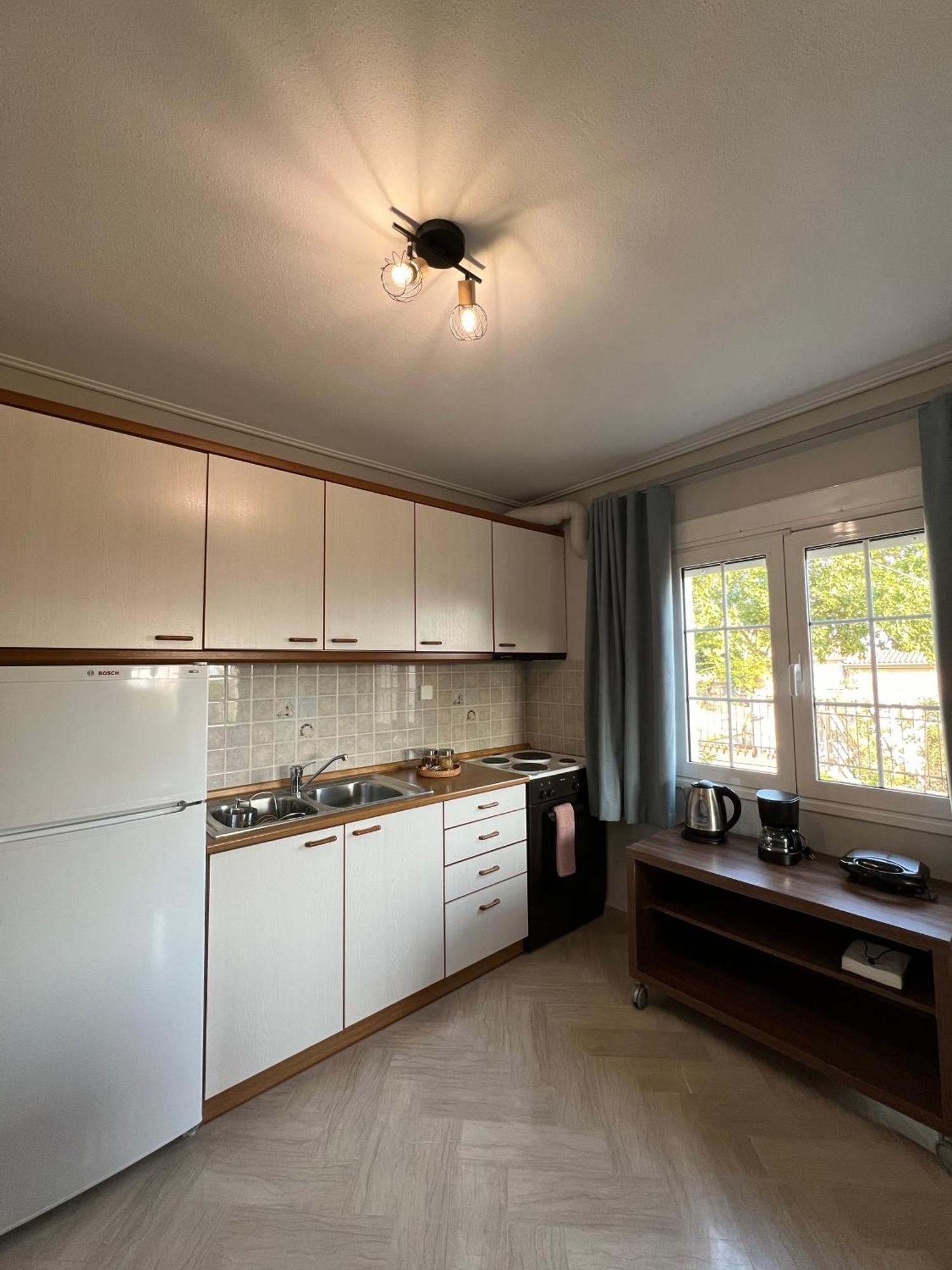 Aiolos Seaside Apartment Marathos Kültér fotó